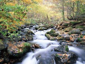 幻の島を巡るシュノーケルツアー