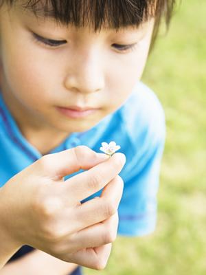 高知県を観光タクシーで旅したい人に