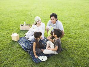 人気の屋形船をする効果的なポイントとは