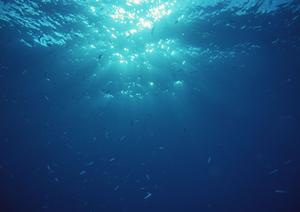 家族で楽しむ石垣島アクティビティ完全ガイド：自然を満喫し思い出を作るための最適プラン