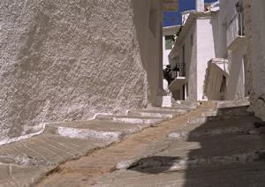 信頼感の高いサーフガイドについて