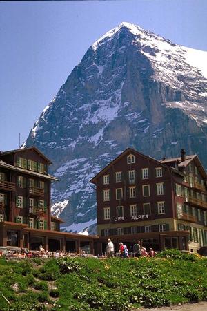 大阪のビジネスと観光に最適！東横INN新大阪中央口本館の魅力と特徴