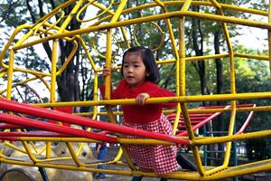 アドベンチャーパークの魅力について