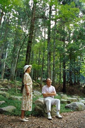 土浦駅から徒歩1分！快適な滞在と充実の設備を誇る【東横INN土浦駅東口】の魅力と詳細情報