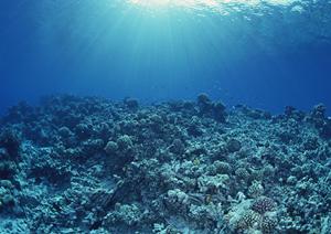 大阪観光とビジネスに最適！東横INN大阪阪急十三駅西口1の詳細ガイド