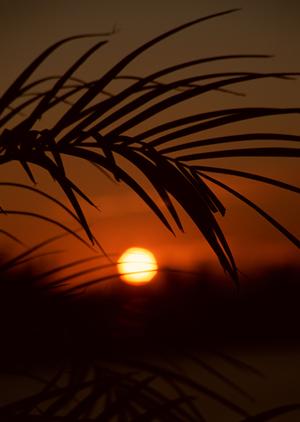 岩国駅から徒歩5分の快適ステイ！東横INN岩国駅西口の魅力と詳細ガイド