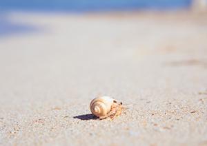 【公式情報】東横INN品川港南口天王洲アイル｜ビジネスと観光に最適な快適ホテルの特徴と詳細ガイド