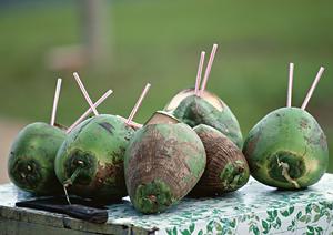 静岡県藤枝市に位置する東横INN静岡藤枝駅北口の魅力とサービス内容