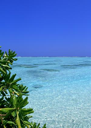 東京駅から徒歩3分の便利さが魅力！東横INN東京駅八重洲北口の魅力と詳細情報