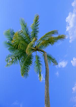 福島駅徒歩3分の快適ステイを実現！東横INN福島駅西口の魅力と特徴