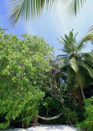 山形県米沢市のビジネスホテル「東横INN米沢駅前」の魅力と詳細情報