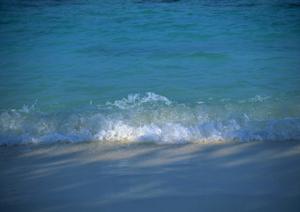 家族で楽しむ石垣島アクティビティ！子供も喜ぶ体験と雨の日プラン完全ガイド