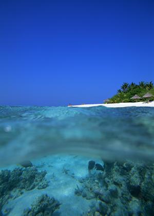 福岡市博多駅近くの快適なビジネスホテル【東横INN博多駅バスターミナル前】の魅力と詳細情報