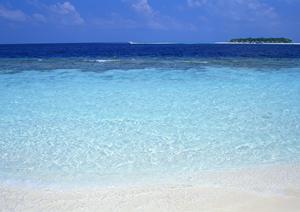 東京都文京区に位置する便利で快適なビジネスホテル：東横INN後楽園文京区役所前の魅力と特徴