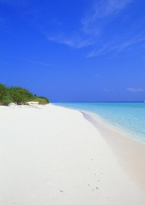 石川県金沢市にある東横INN金沢兼六園香林坊の魅力と詳細情報