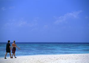 京都市中心部に位置する東横INN京都五条烏丸：快適な滞在と便利なアクセスを実現するビジネスホテル