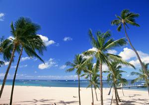 【公式】東横INN湘南茅ヶ崎駅北口｜神奈川県茅ヶ崎市の便利なビジネスホテルと観光拠点