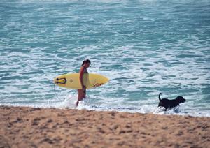 奈良観光に最適な宿泊スポット：東横INN近鉄奈良駅前の魅力と特徴